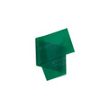 THERABAND Professional Non-Latex Resistance Band - Green
